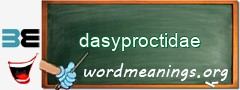 WordMeaning blackboard for dasyproctidae